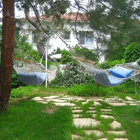 Mavi Pension *