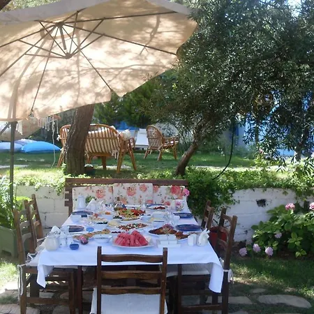 Mavi Pension *