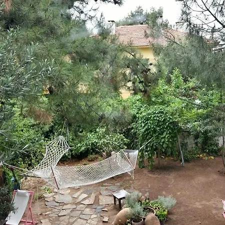 Mavi Pension Gasthuis Ayvalı