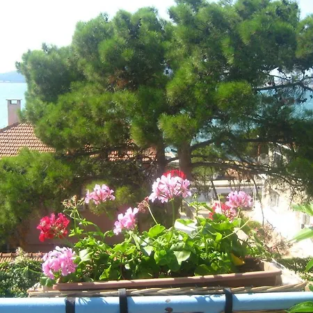 Guest house Mavi Pension