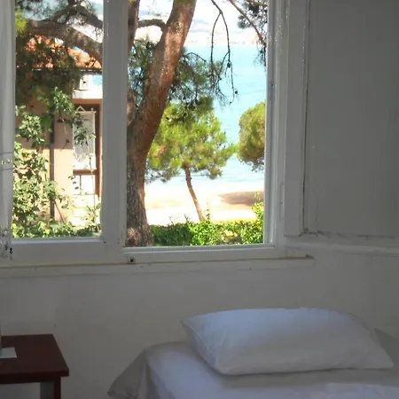 Mavi Pension *