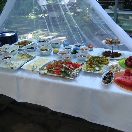 Mavi Pension Ayvalı