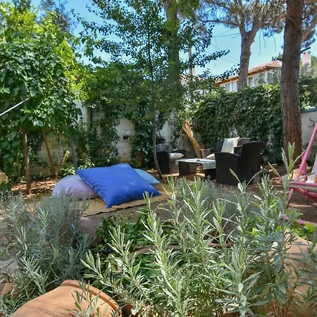 Mavi Pension Guest house *