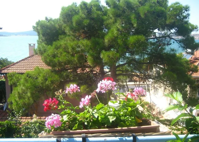 Pensión Mavi Pension