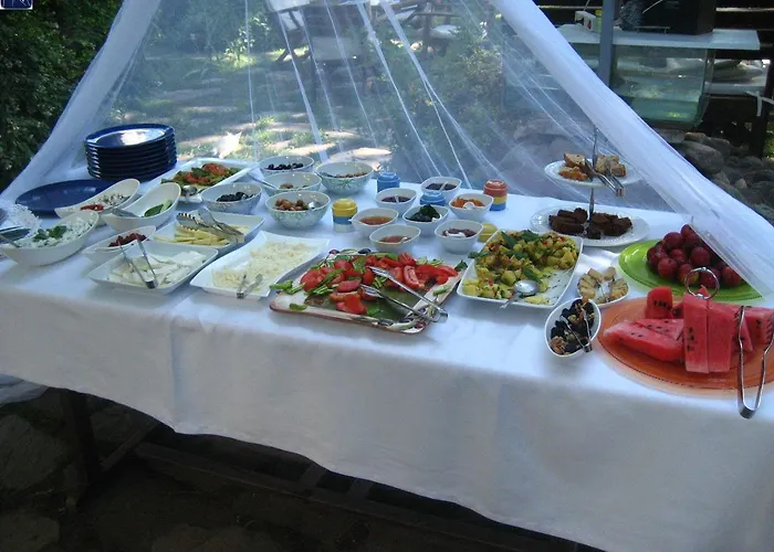 Mavi Pension Ayvalı